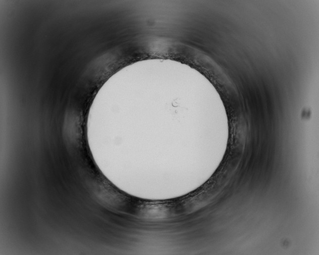 X0000103900702200810311410