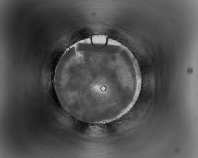 X0000103900703200810311410