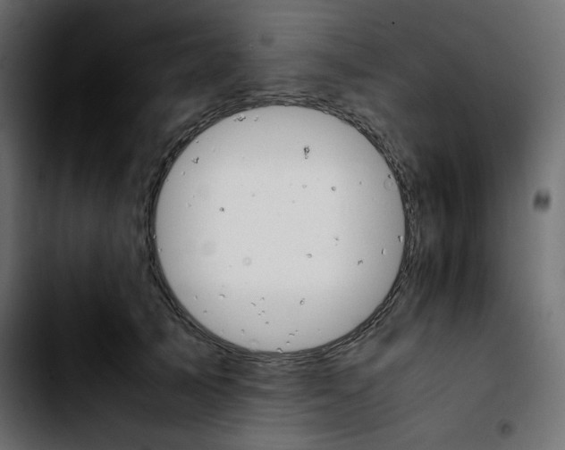 X0000103900705200810311410