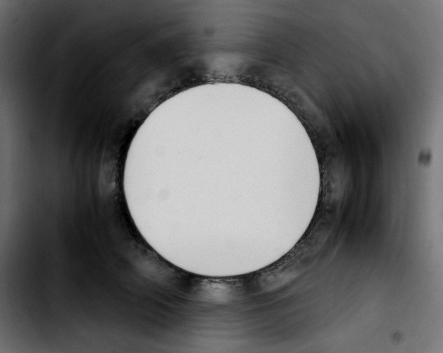 X0000103900706200810311410