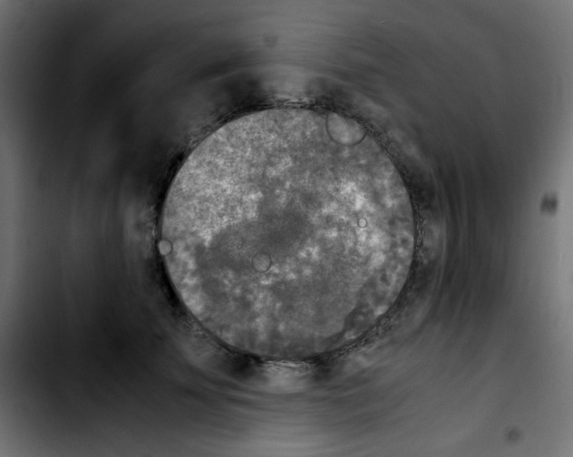 X0000103900707200810311410