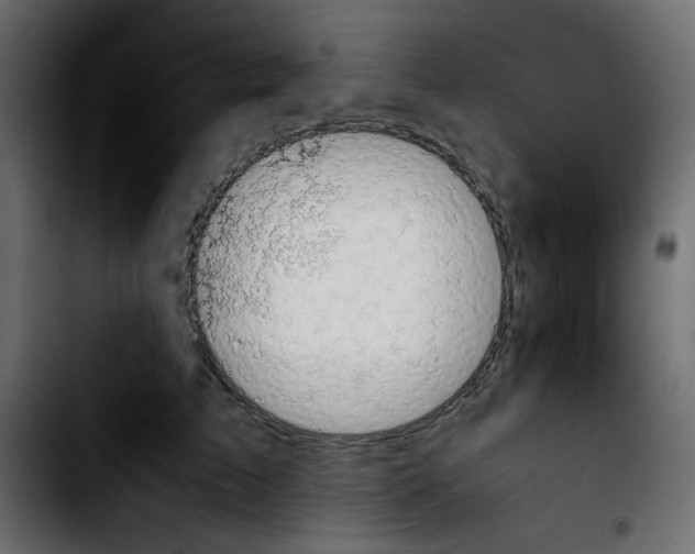 X0000103900709200810311410