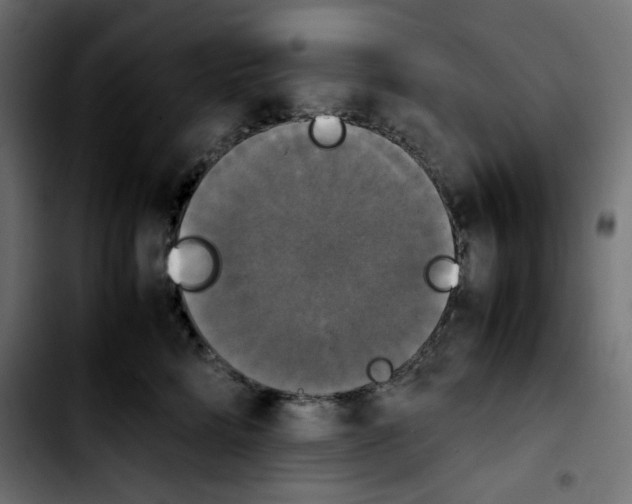 X0000103900712200810311410