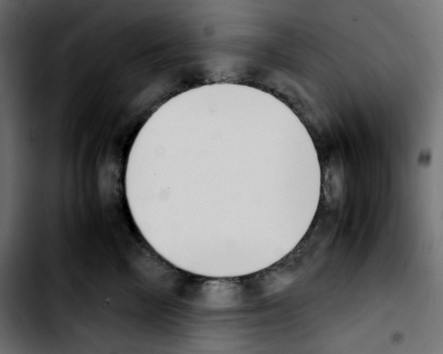 X0000103900714200810311410