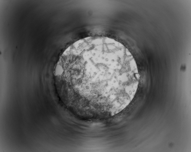 X0000103900715200810311410