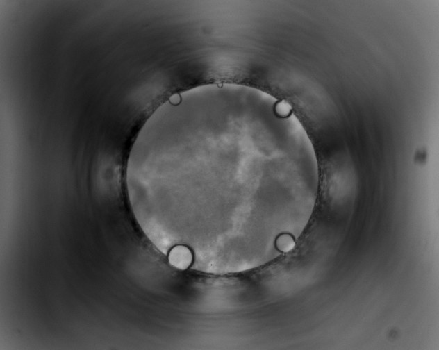 X0000103900716200810311410