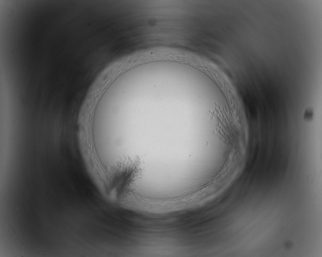 X0000103900717200810311410