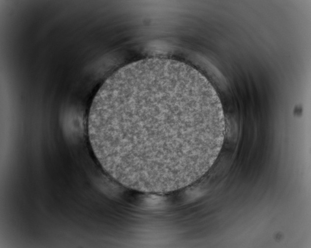 X0000103900718200810311410