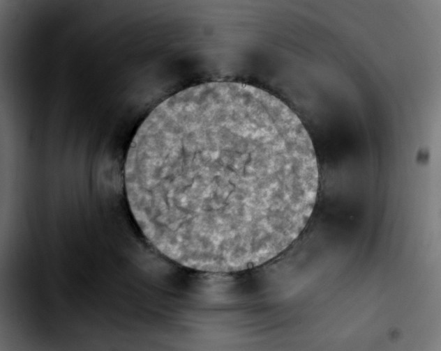 X0000103900719200810311410