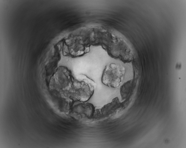 X0000103900721200810311409