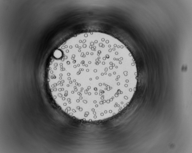 X0000103900722200810311409