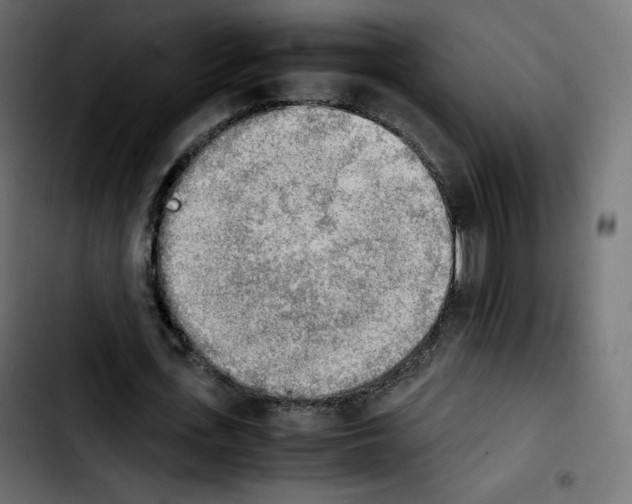 X0000103900723200810311409