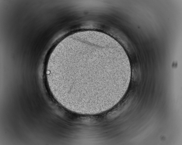 X0000103900724200810311409