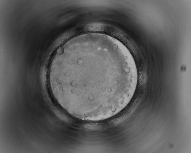 X0000103900725200810311409