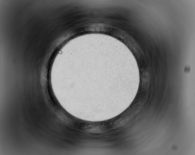 X0000103900727200810311409