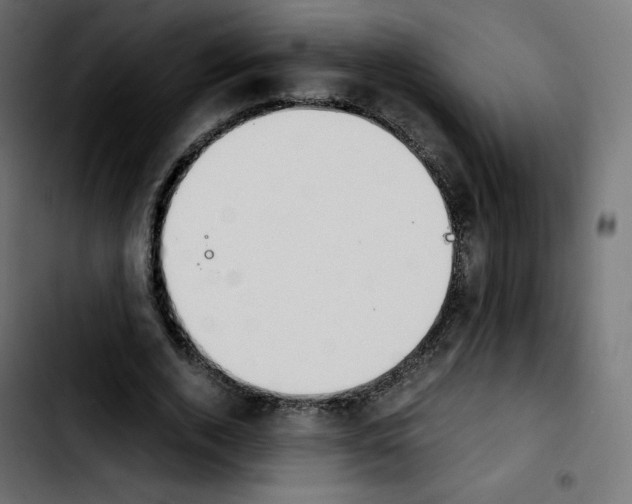 X0000103900728200810311409