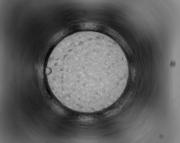 X0000103900729200810311409