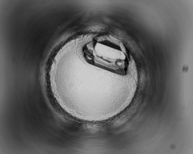 X0000103900730200810311409