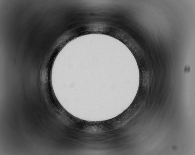 X0000103900731200810311409