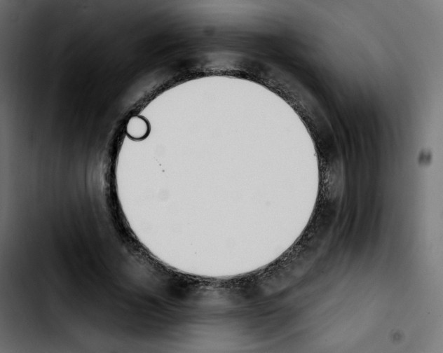 X0000103900732200810311409