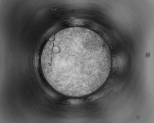 X0000103900733200810311409