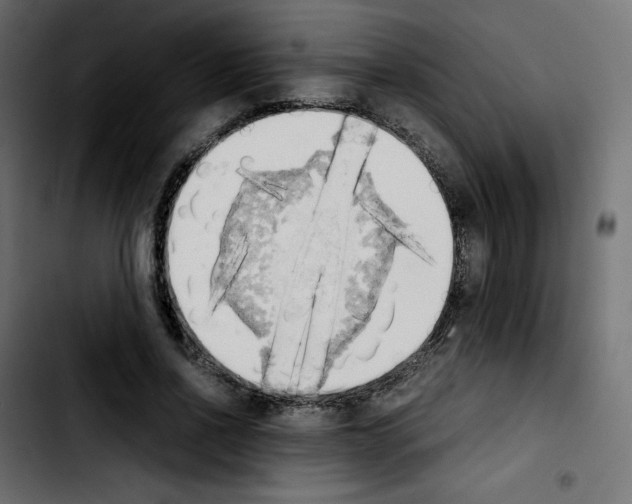 X0000103900734200810311409