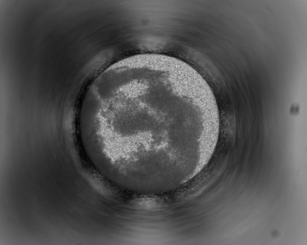 X0000103900738200810311409