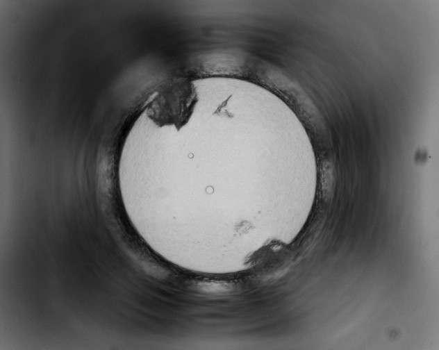 X0000103900741200810311409