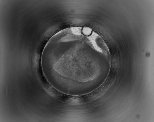 X0000103900742200810311409