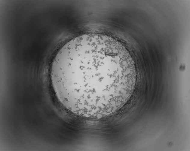 X0000103900744200810311409