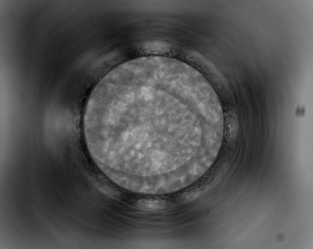 X0000103900745200810311409