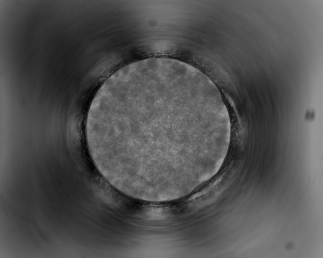 X0000103900746200810311409