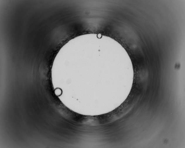 X0000103900750200810311409