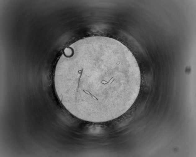 X0000103900751200810311409