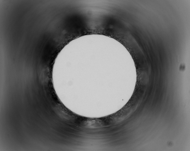 X0000103900752200810311409