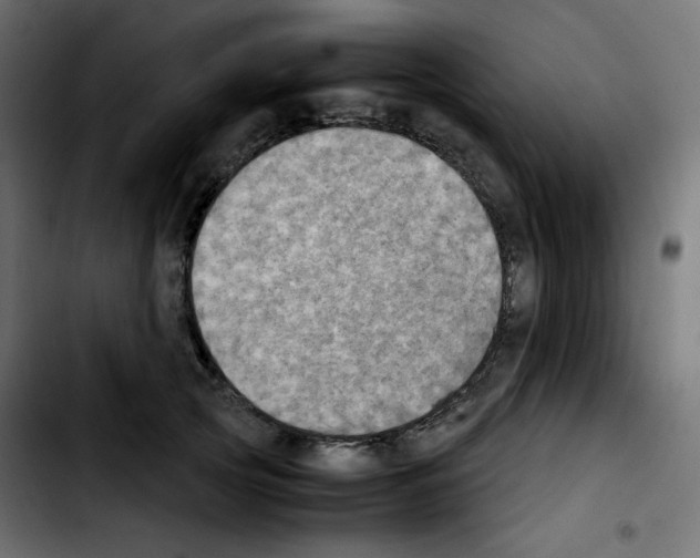 X0000103900753200810311409