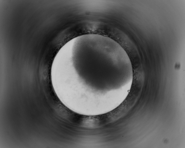 X0000103900754200810311409