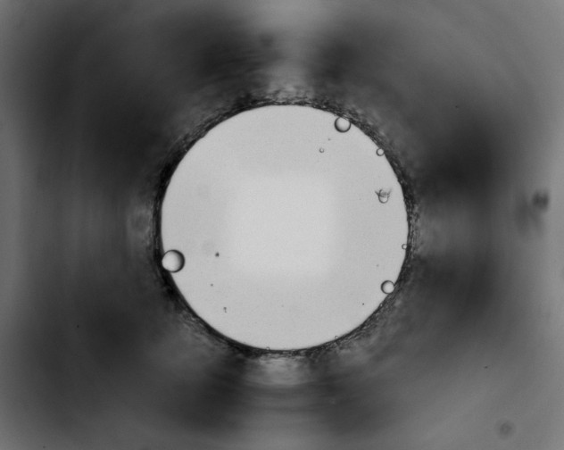 X0000103900756200810311409