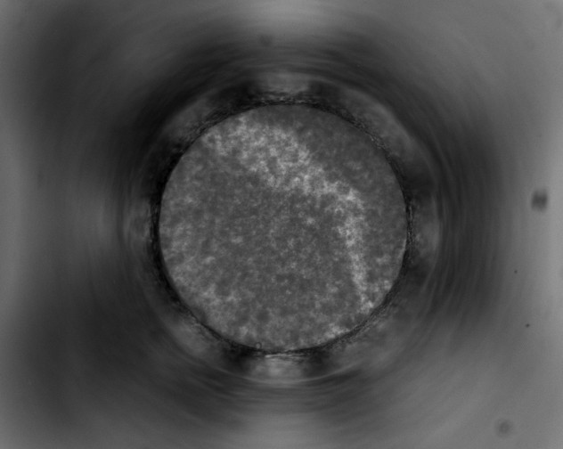 X0000103900758200810311409