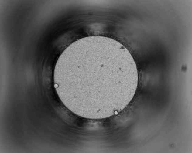 X0000103900760200810311409