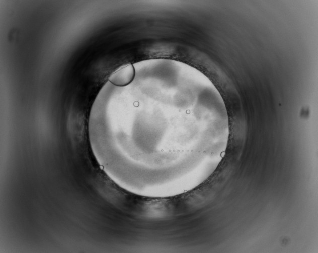 X0000103900761200810311409