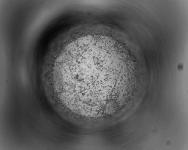 X0000103900762200810311409