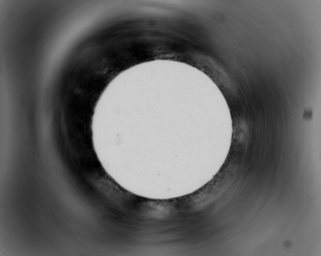 X0000103900763200810311410