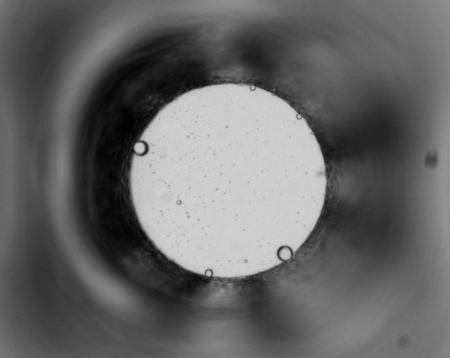 X0000103900764200810311410