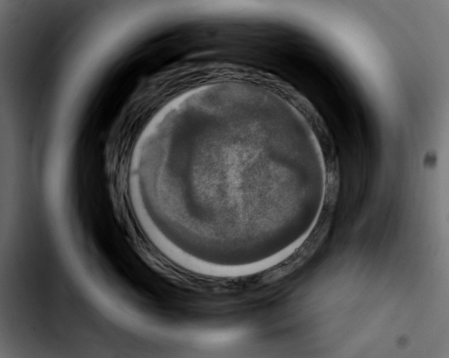 X0000103900765200810311410