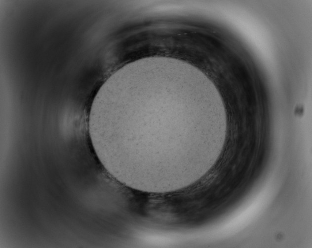 X0000103900766200810311410