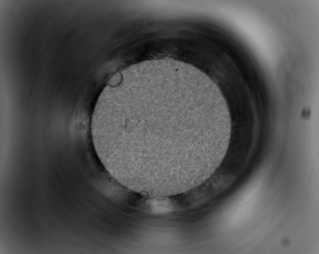 X0000103900767200810311410