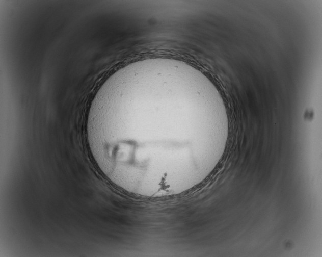 X0000103900769200810311409