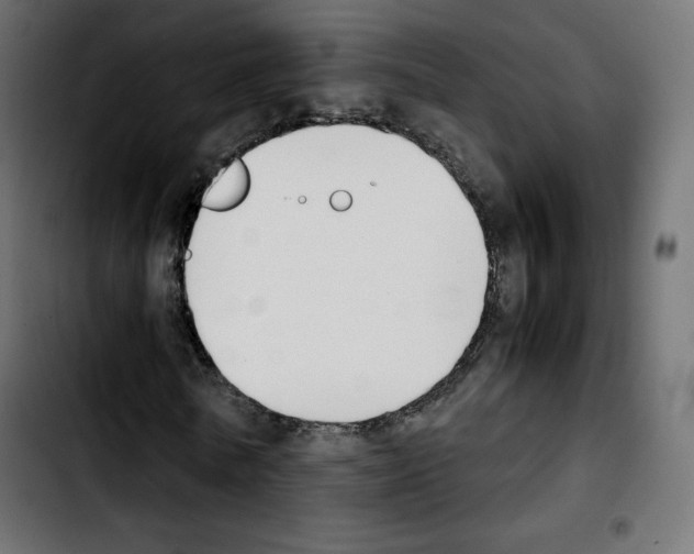 X0000103900770200810311409