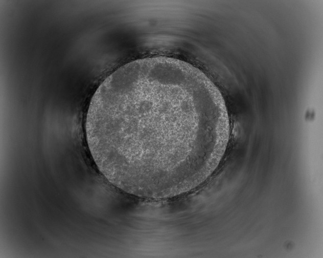 X0000103900771200810311409